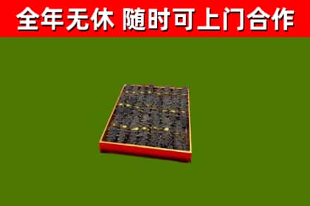 琼海市回收海参